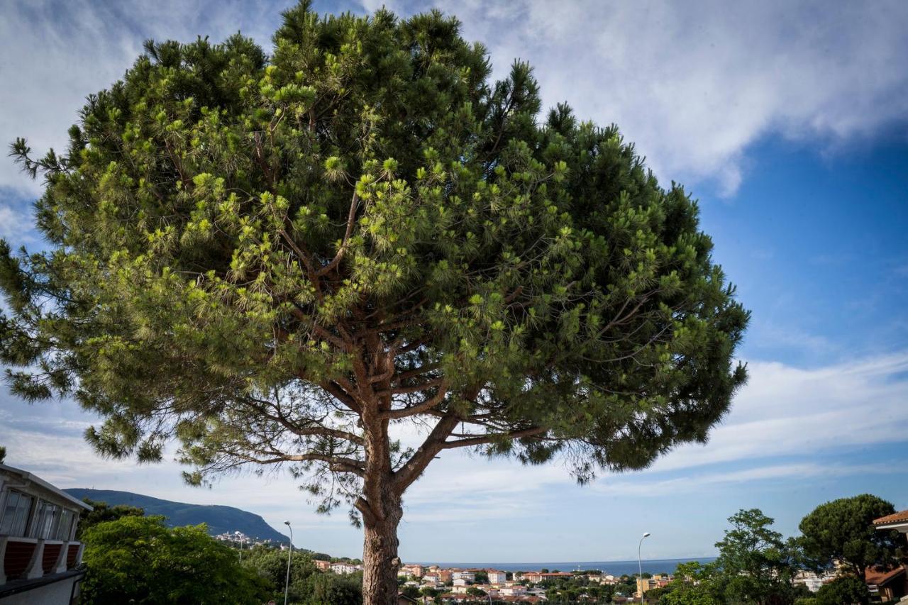 Balconi Del Conero Apart otel Numana Dış mekan fotoğraf