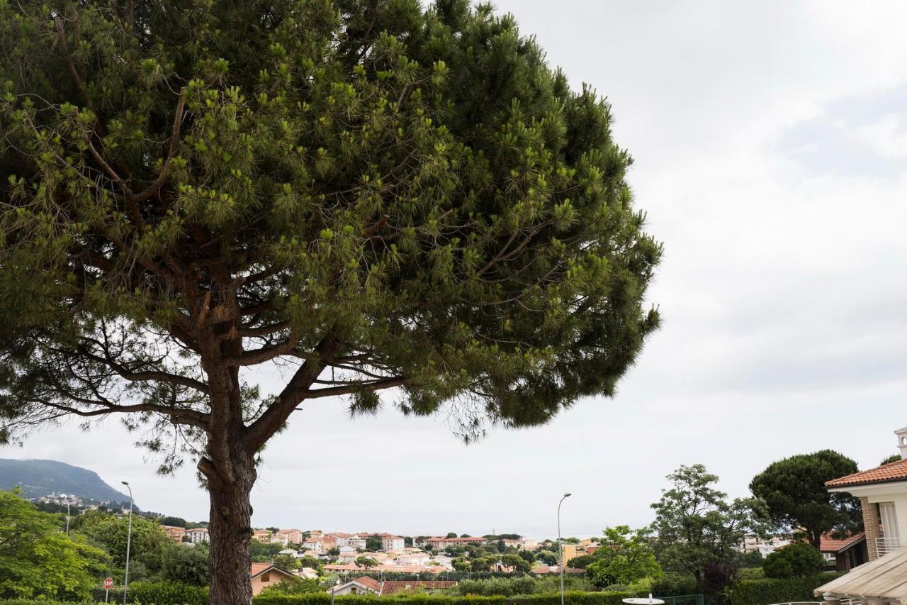 Balconi Del Conero Apart otel Numana Dış mekan fotoğraf